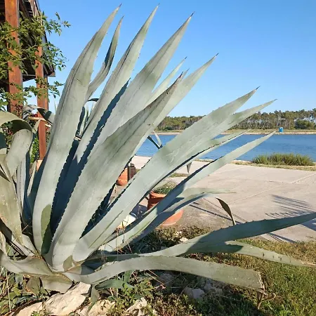 Mobile Homes Inalex Relax